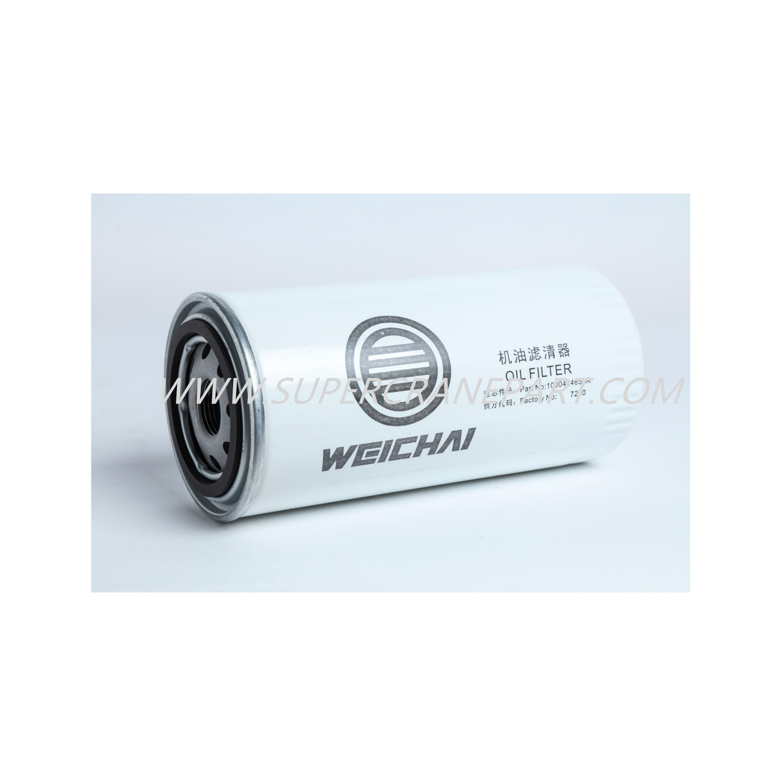160101080007A016 Engine Oil Filter Element 1002003545