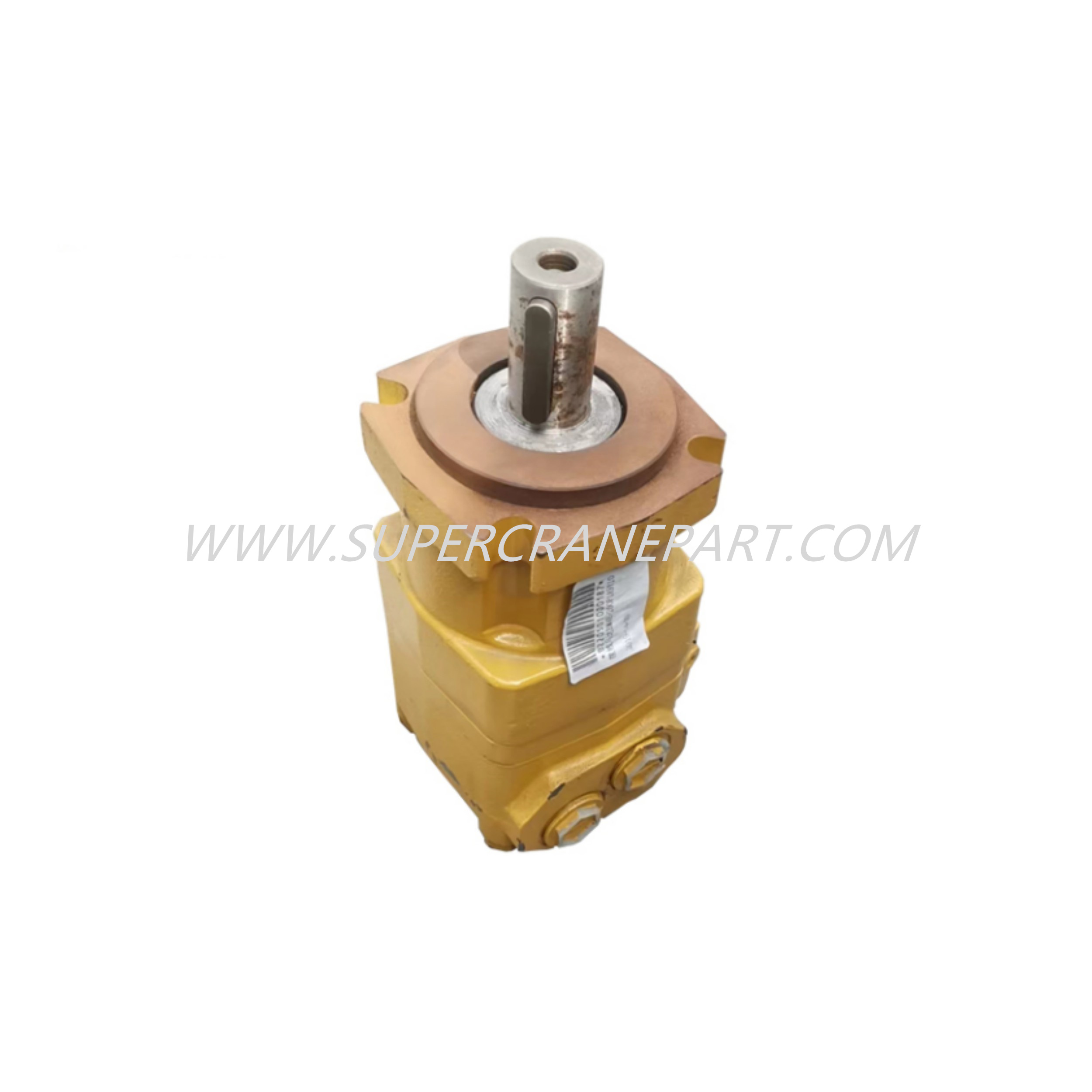 B220501000187 Cycloidal Motor BM4E-200P1A9Y10