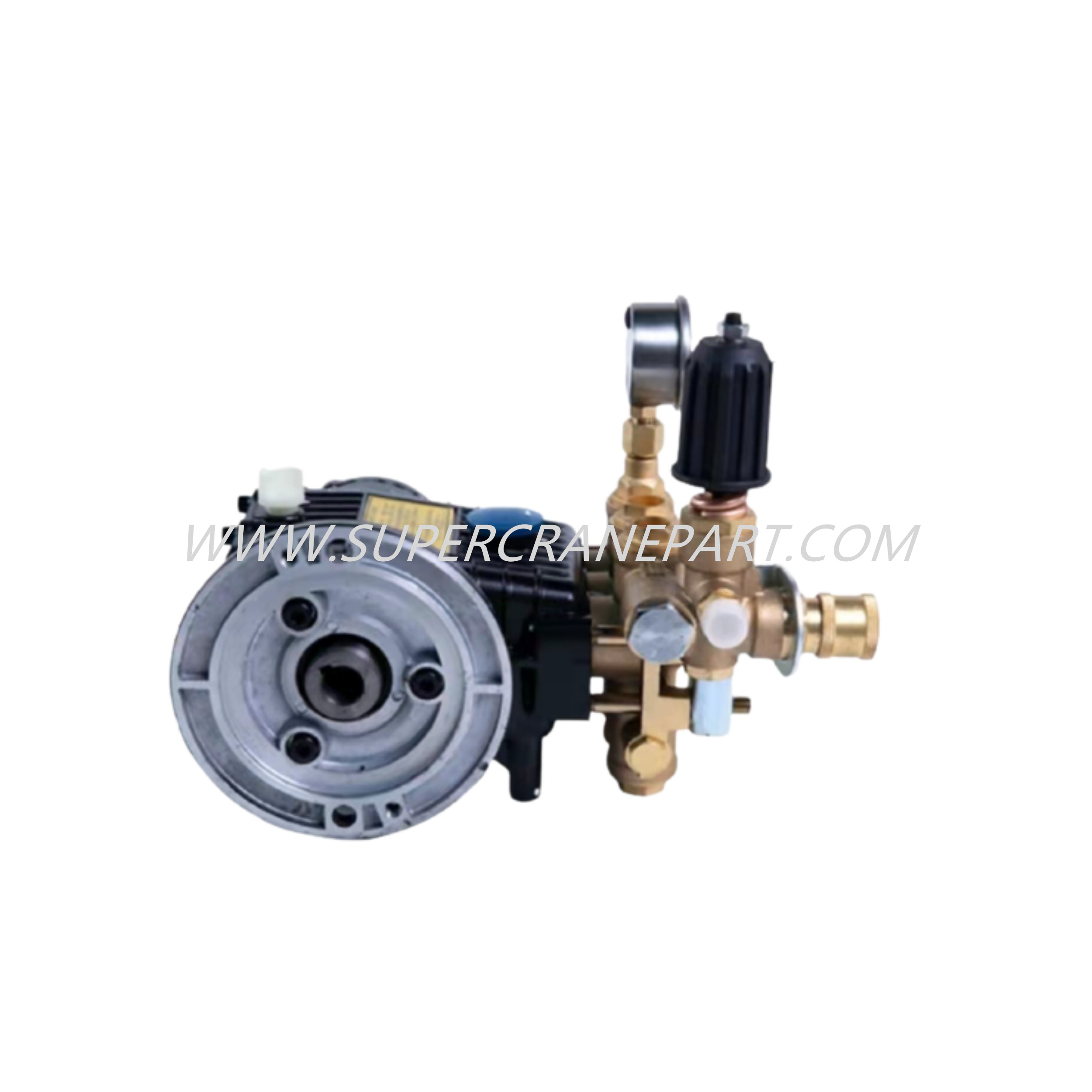 150702000007A Water Pump SL-100