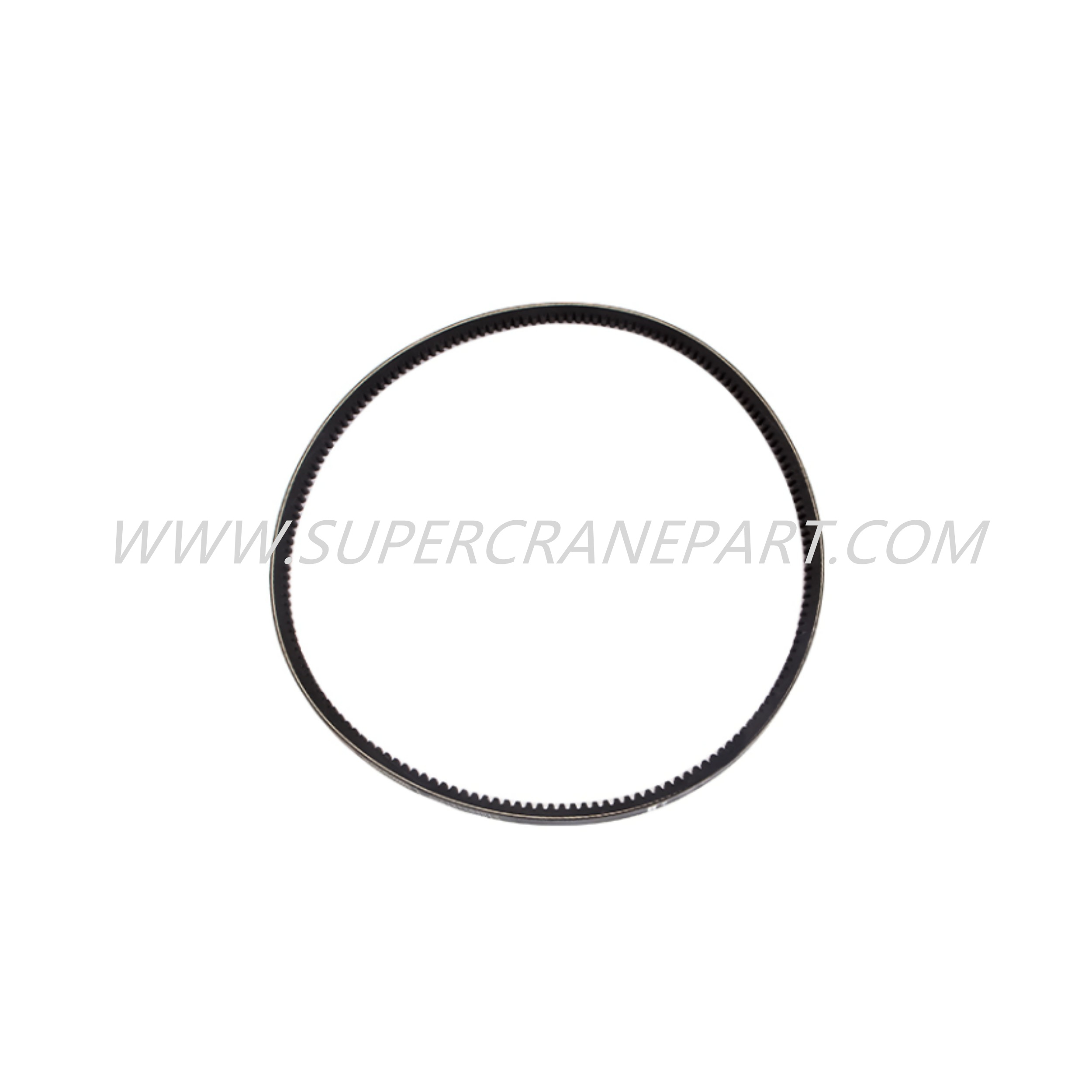 B230106000010 Belt 0118 0849