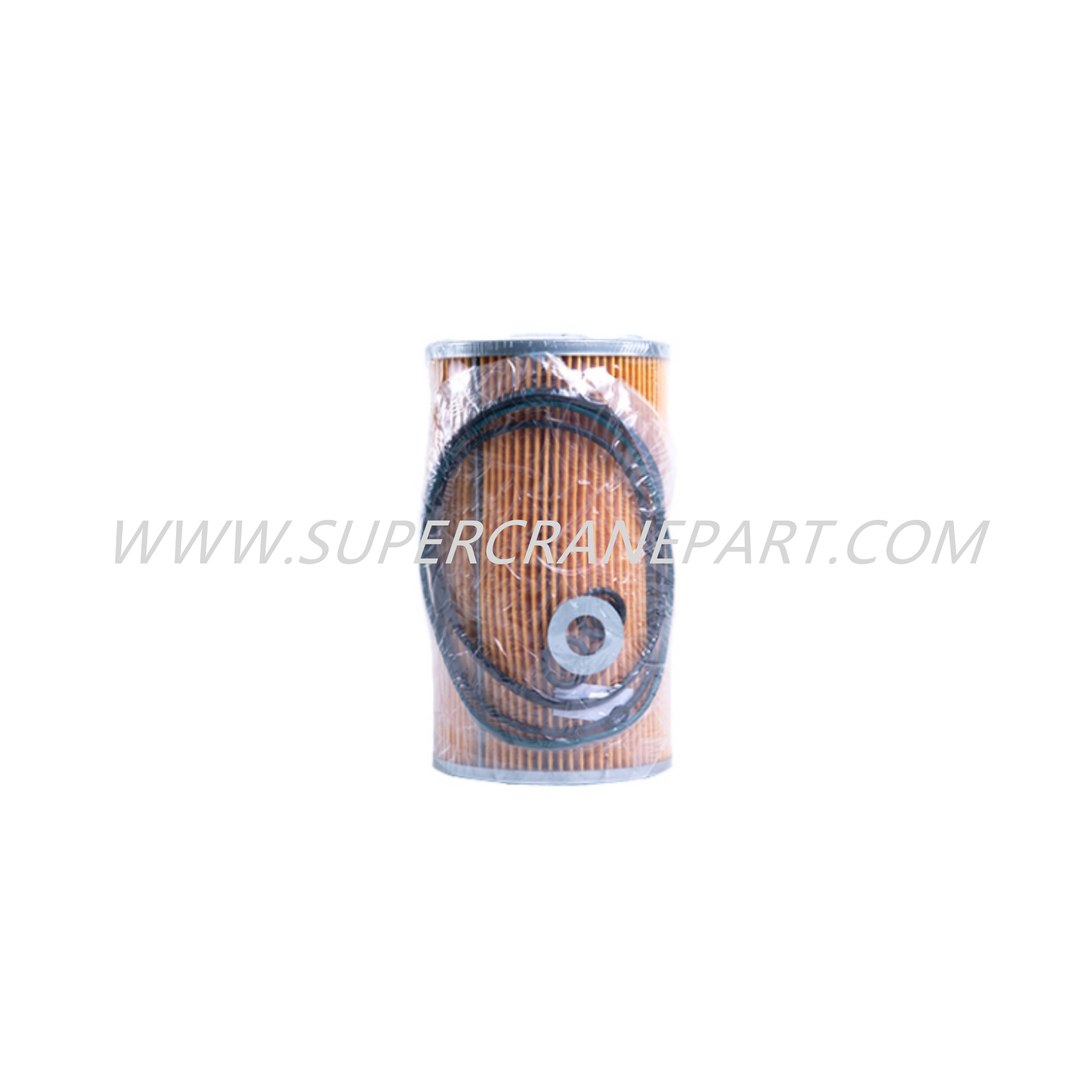 60206773 Oil Filter Element P550379