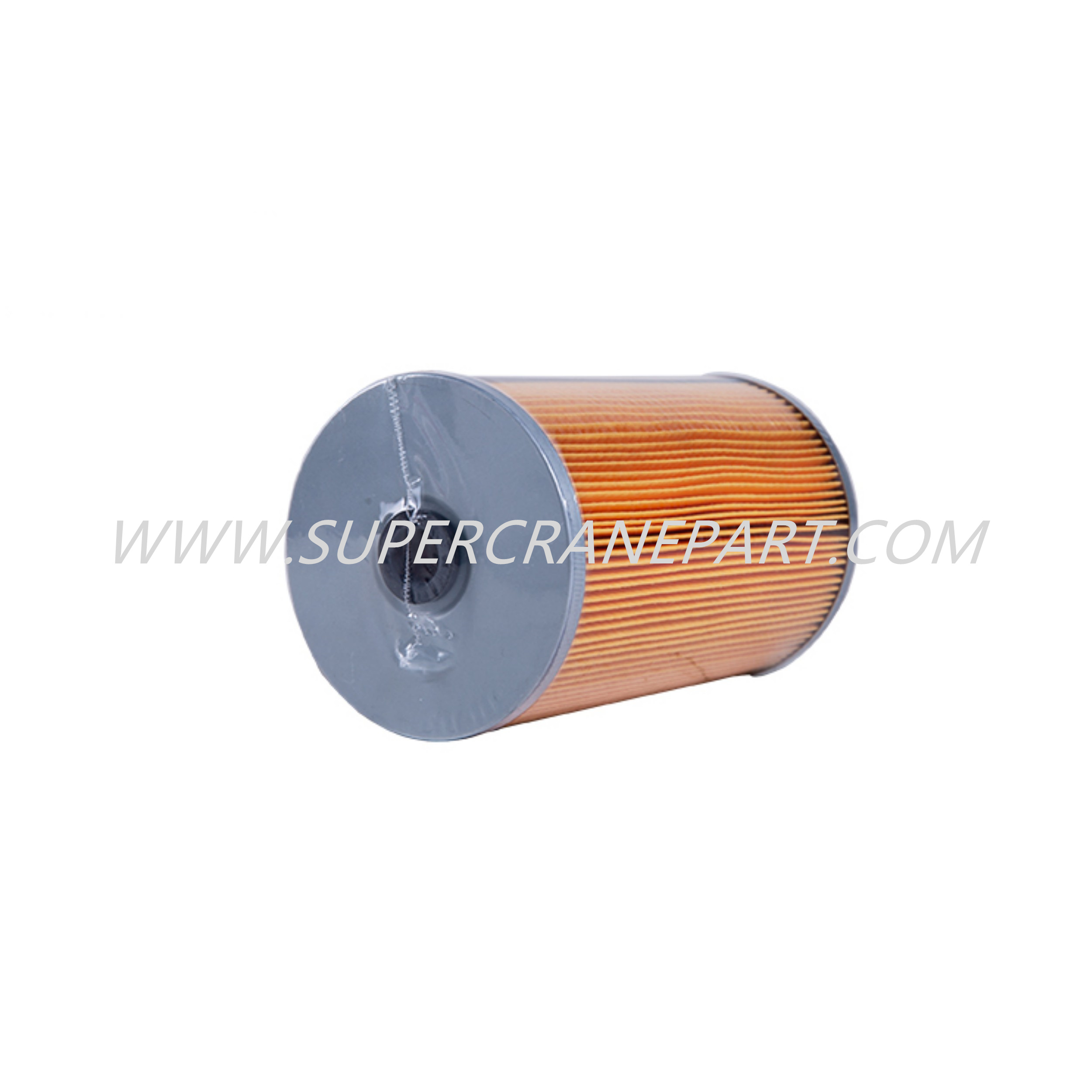 60206779 Diesel Fuel Cleaner P550042 W
