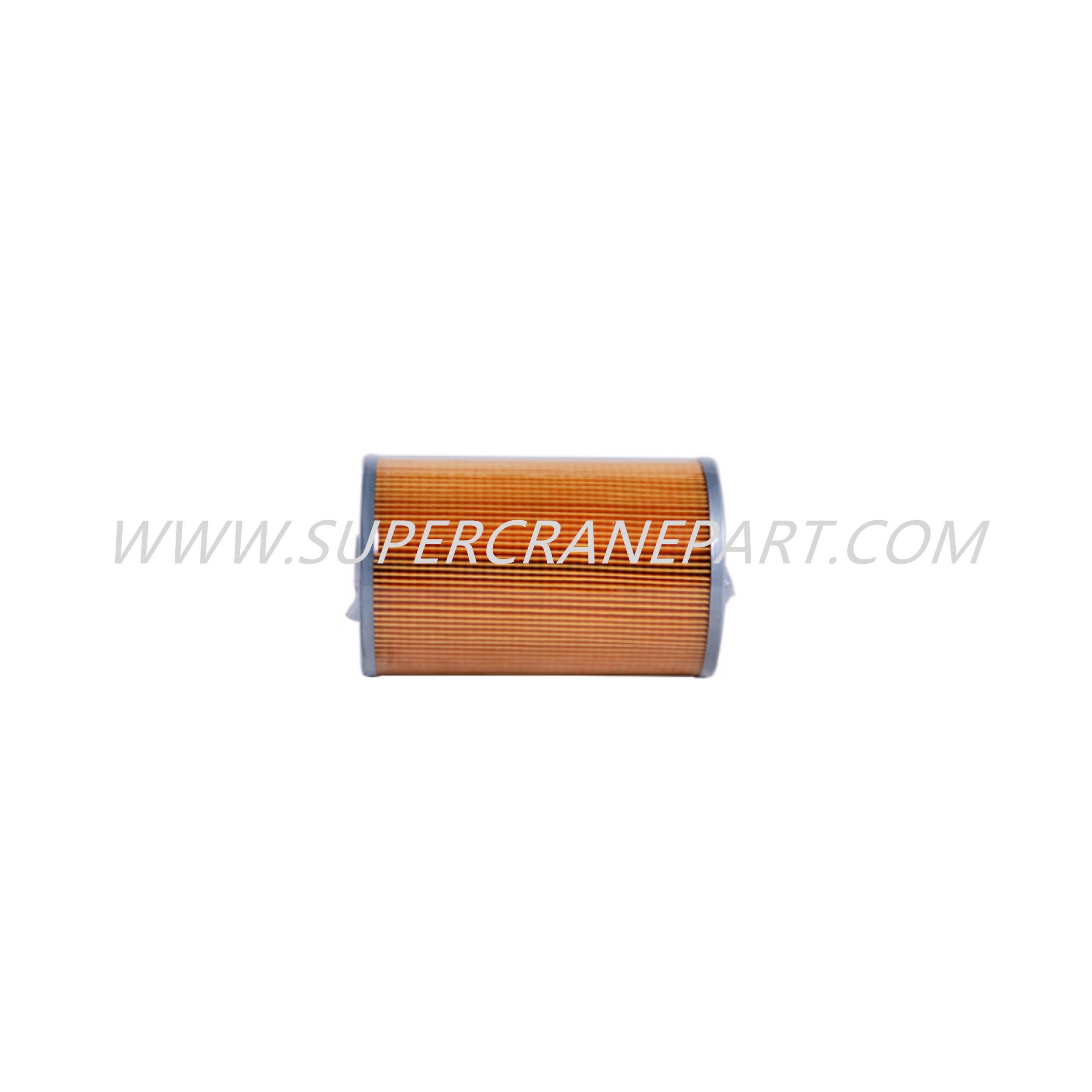 60206779 Diesel Fuel Cleaner P550042 W