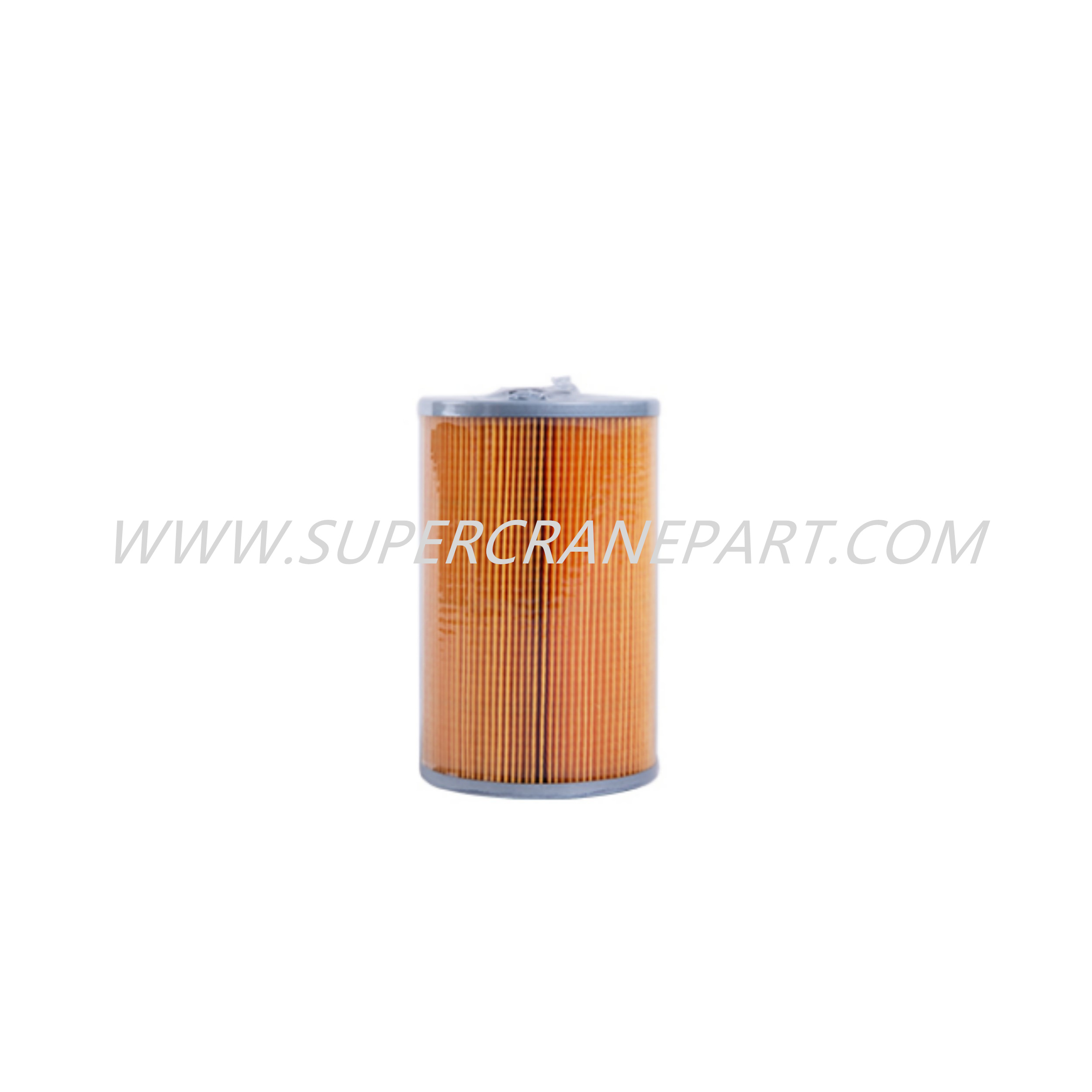 60206779 Diesel Fuel Cleaner P550042 W