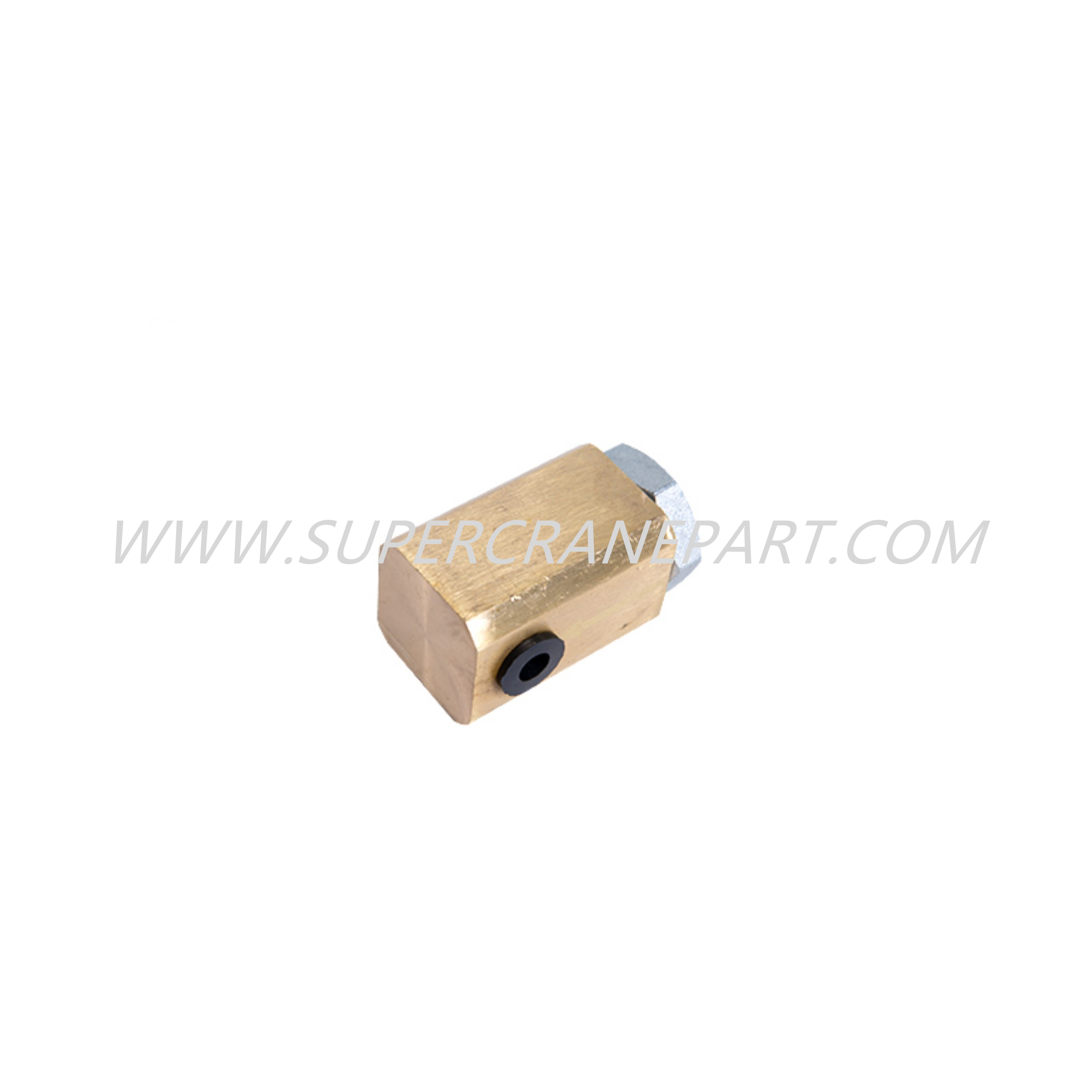 A810201030010 Valve one-way 60A1406.13.1