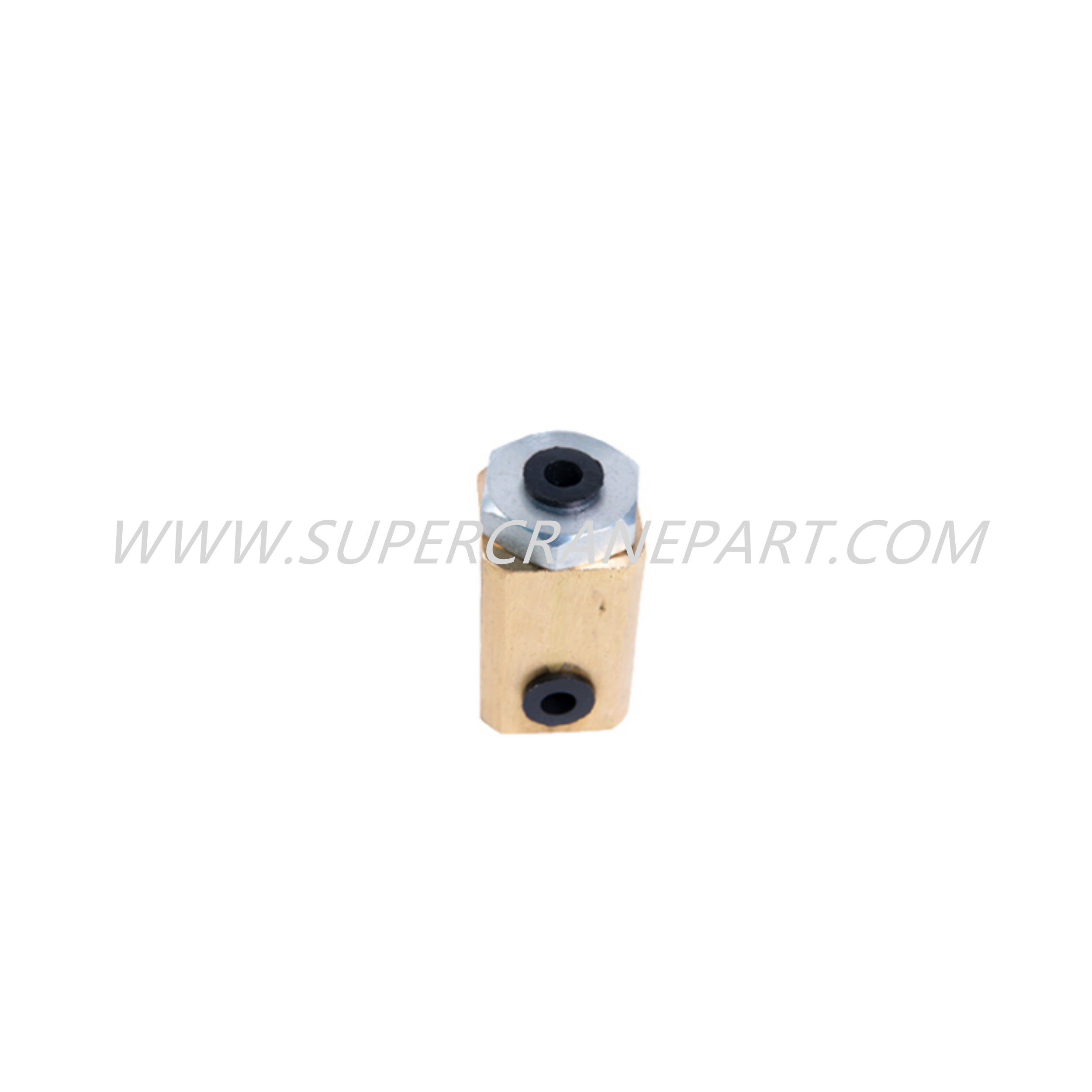 A810201030010 Valve one-way 60A1406.13.1