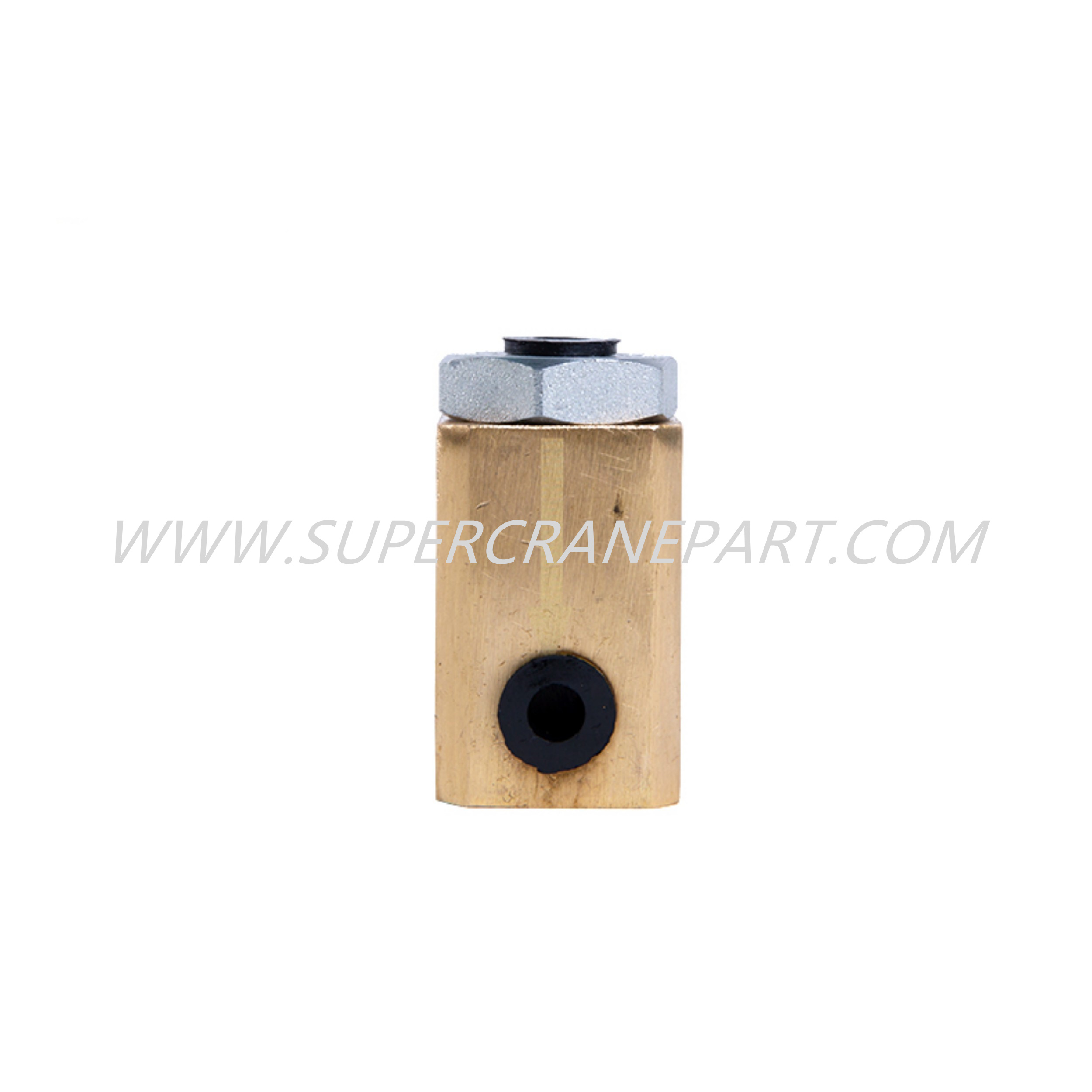 A810201030011 Valve one-way 60A1406.13.2