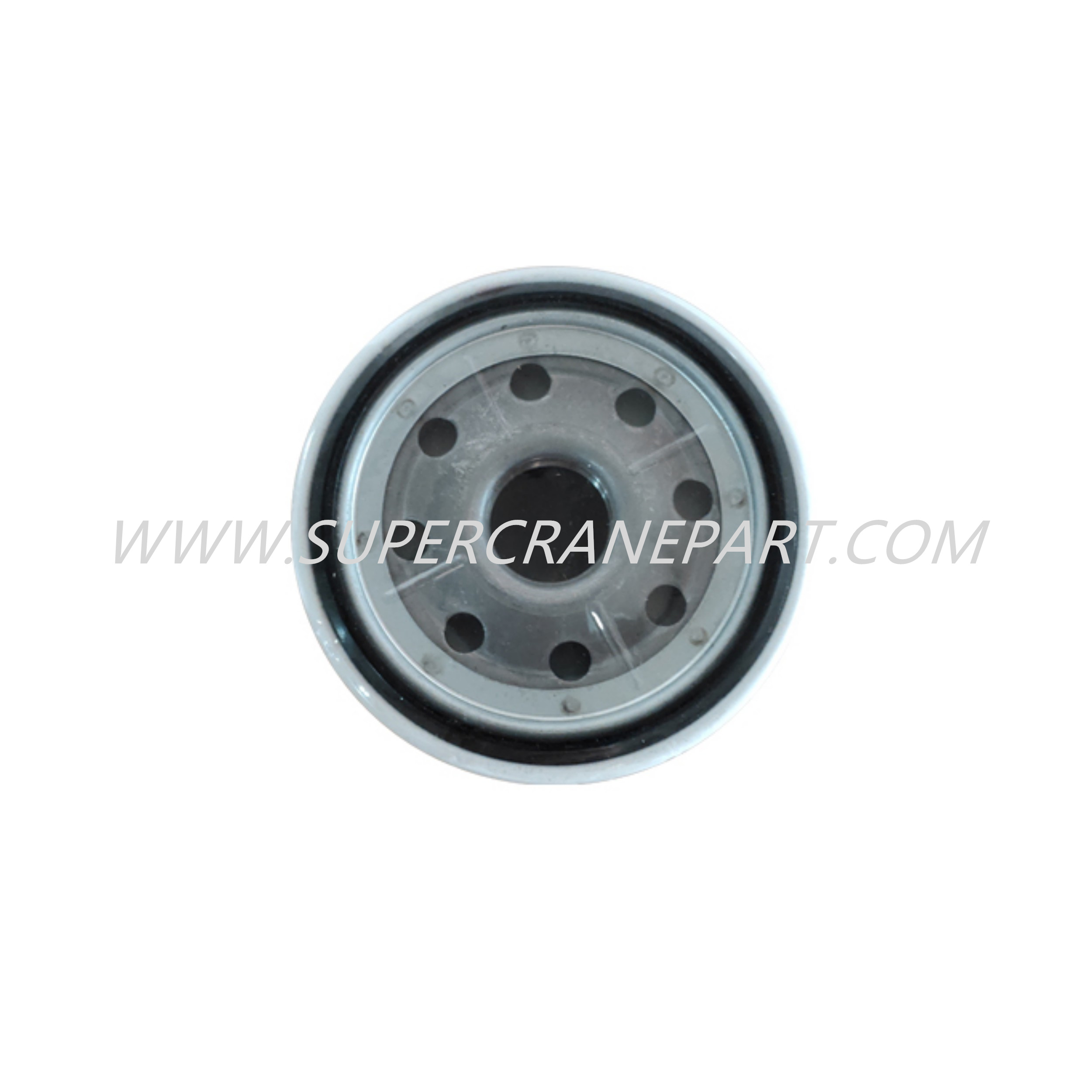 60176475P Fuel Filter Element 606-06