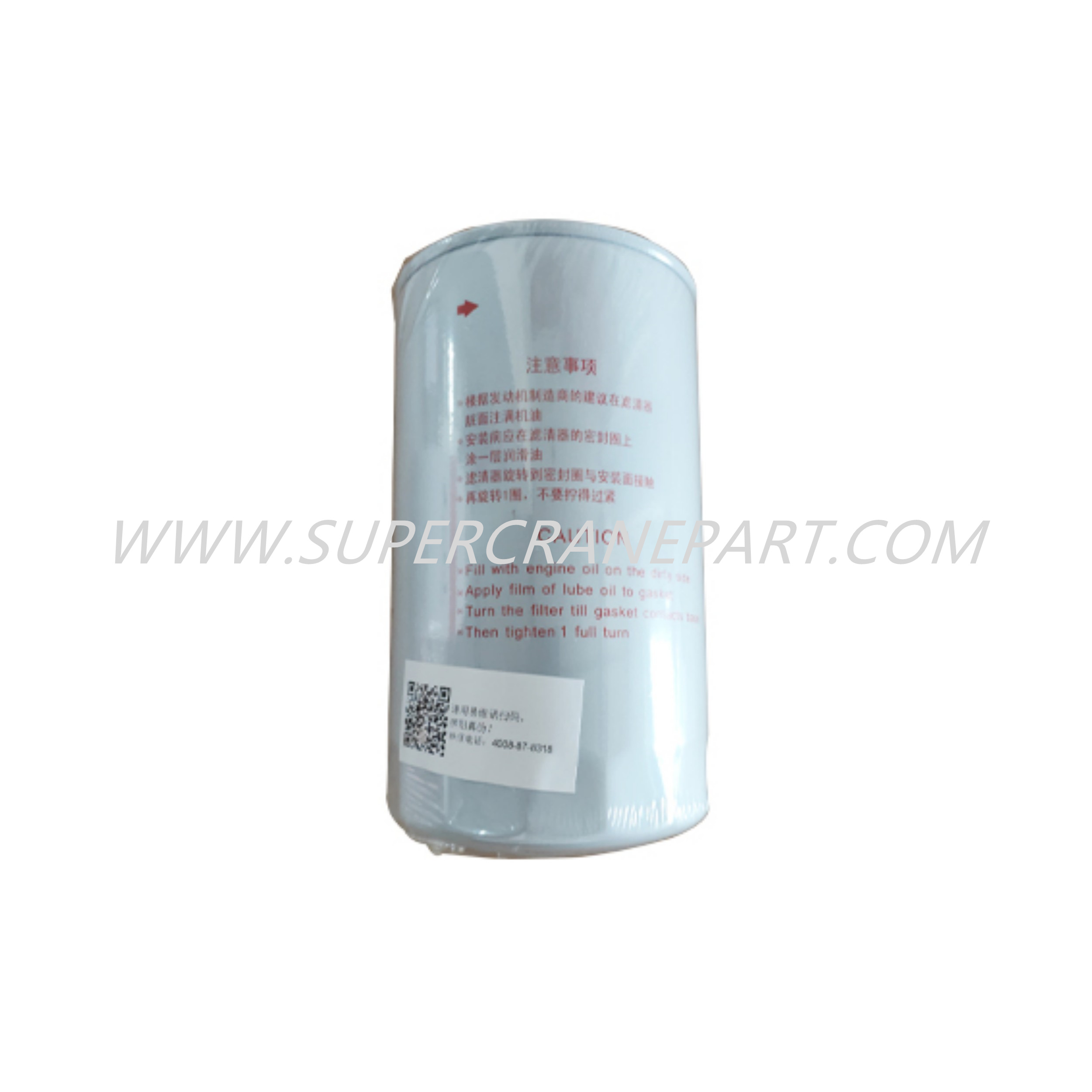 B222100000551 Engine Oil Filter Element P552562