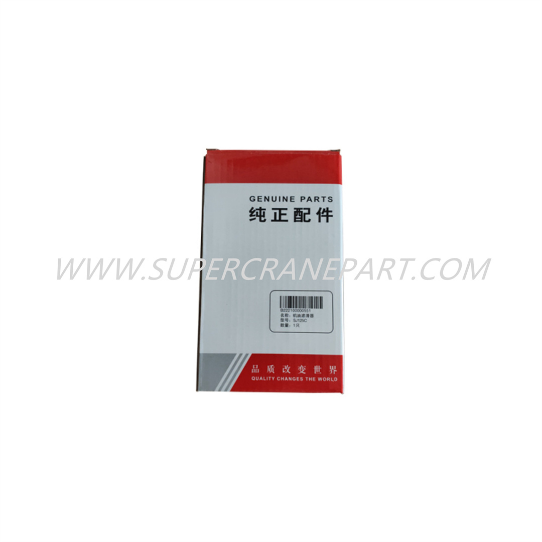 B222100000551 Engine Oil Filter Element P552562