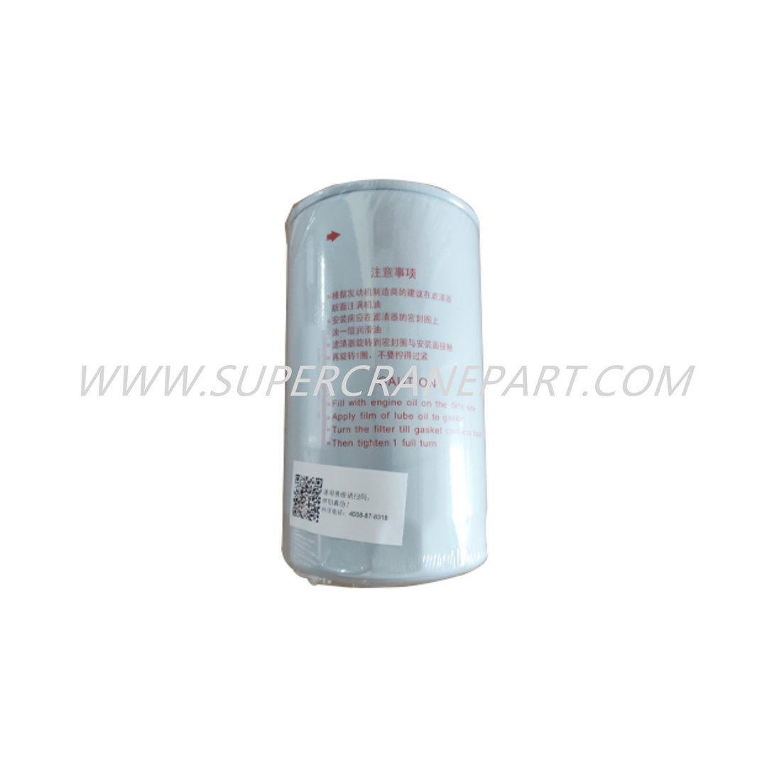 B222100000551 Engine Oil Filter Element P552562