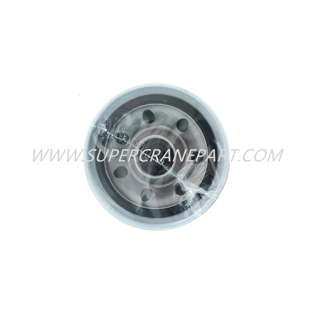 B222100000551 Engine Oil Filter Element P552562
