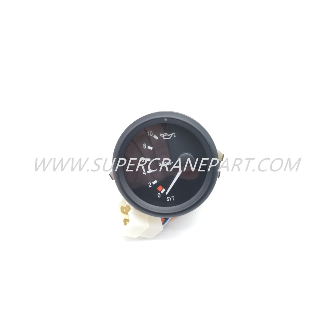 A250202000028 Gauge Pressure Engine Oil 1-DC24V-O-IP20