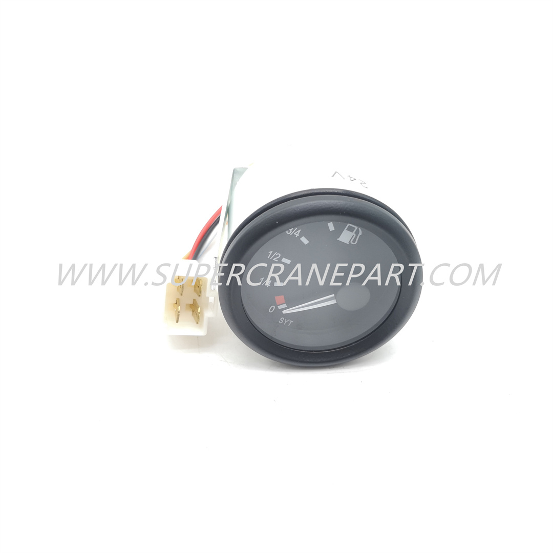 A250209000005 Fuel Gauge (0～1)-DC24-IP20