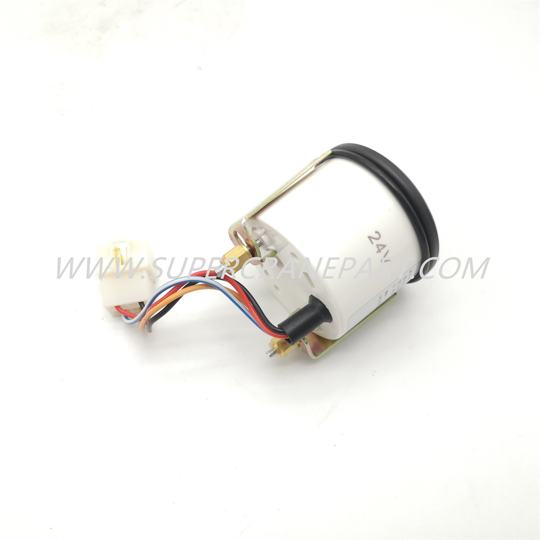 A250209000005 Fuel Gauge (0～1)-DC24-IP20
