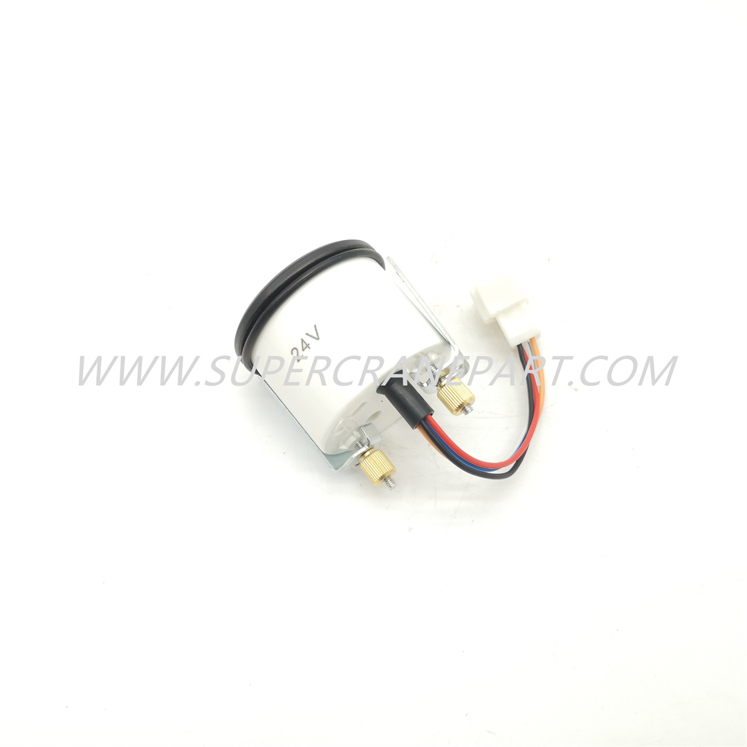 A250209000005 Fuel Gauge (0～1)-DC24-IP20