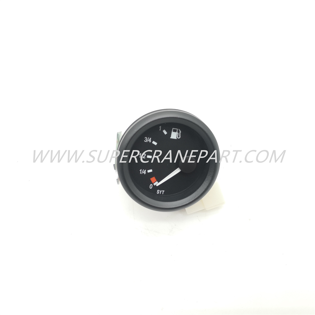 A250209000005 Fuel Gauge (0～1)-DC24-IP20