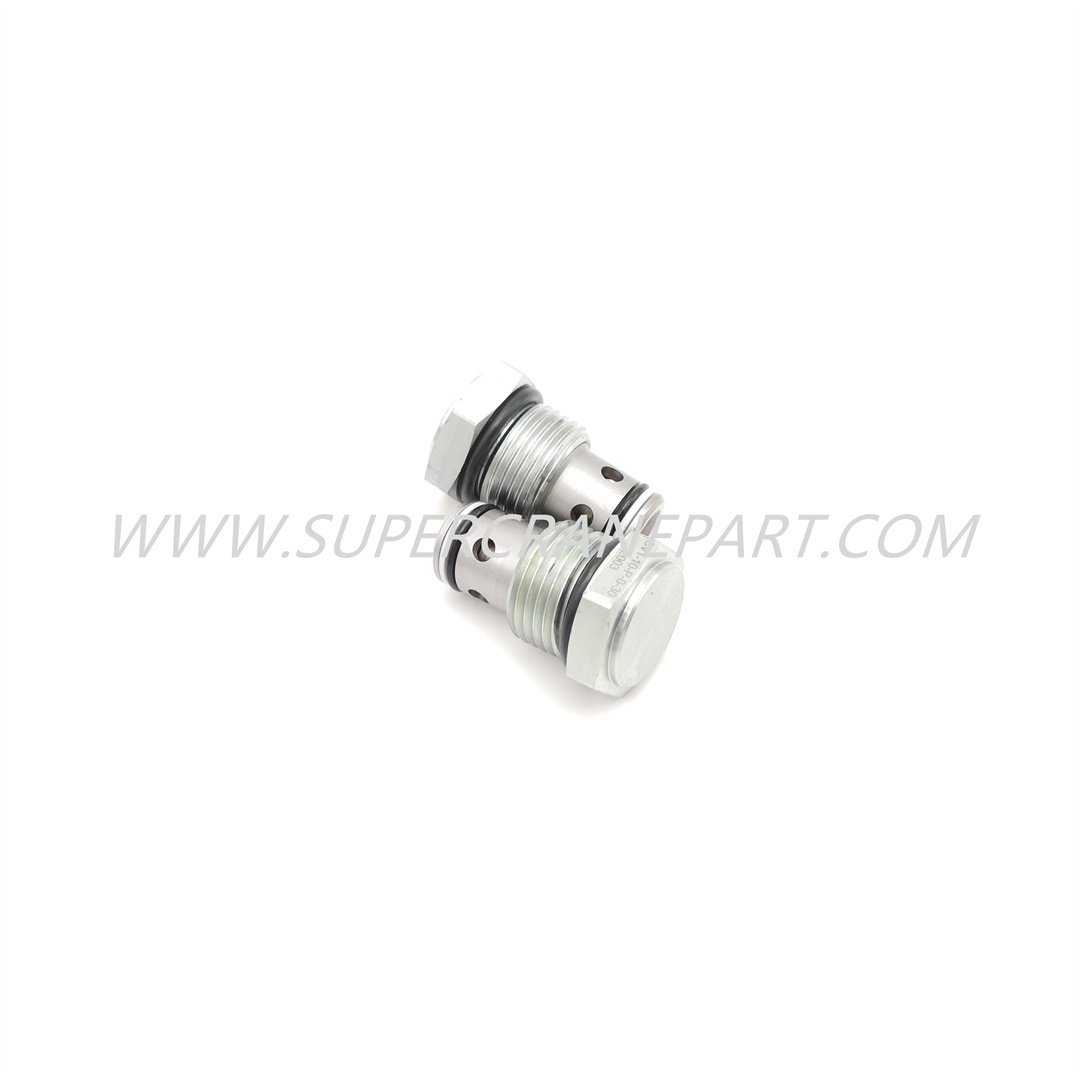 B220401000045 Check Valve CV1-10-P-O-30