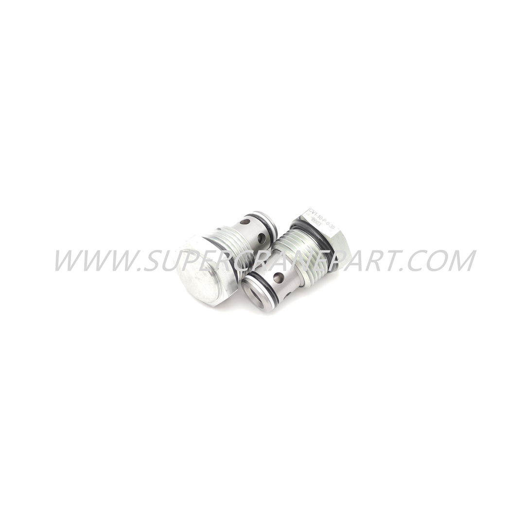 B220401000045 Check Valve CV1-10-P-O-30