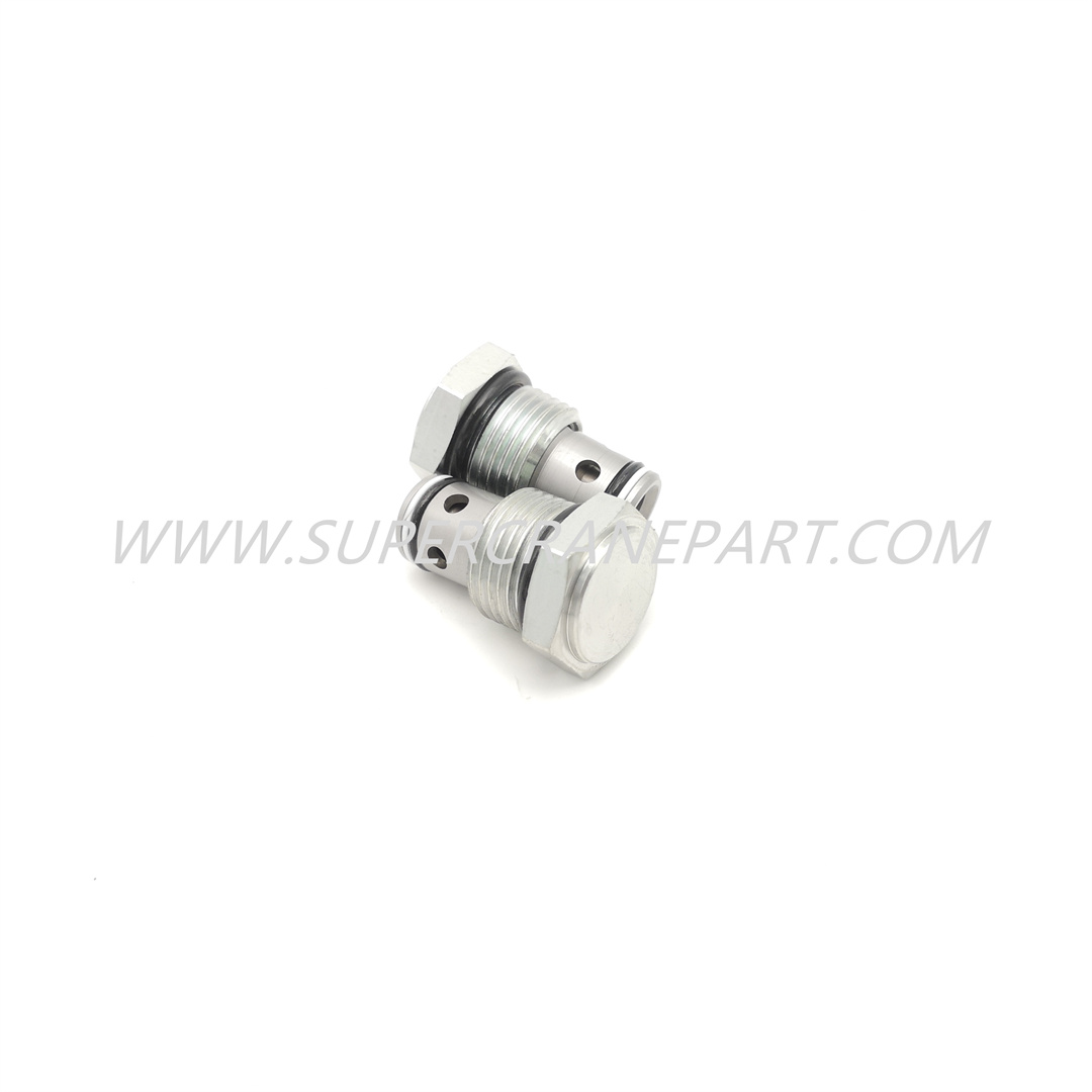 B220401000049 Check Valve CV3-10-P-0-00