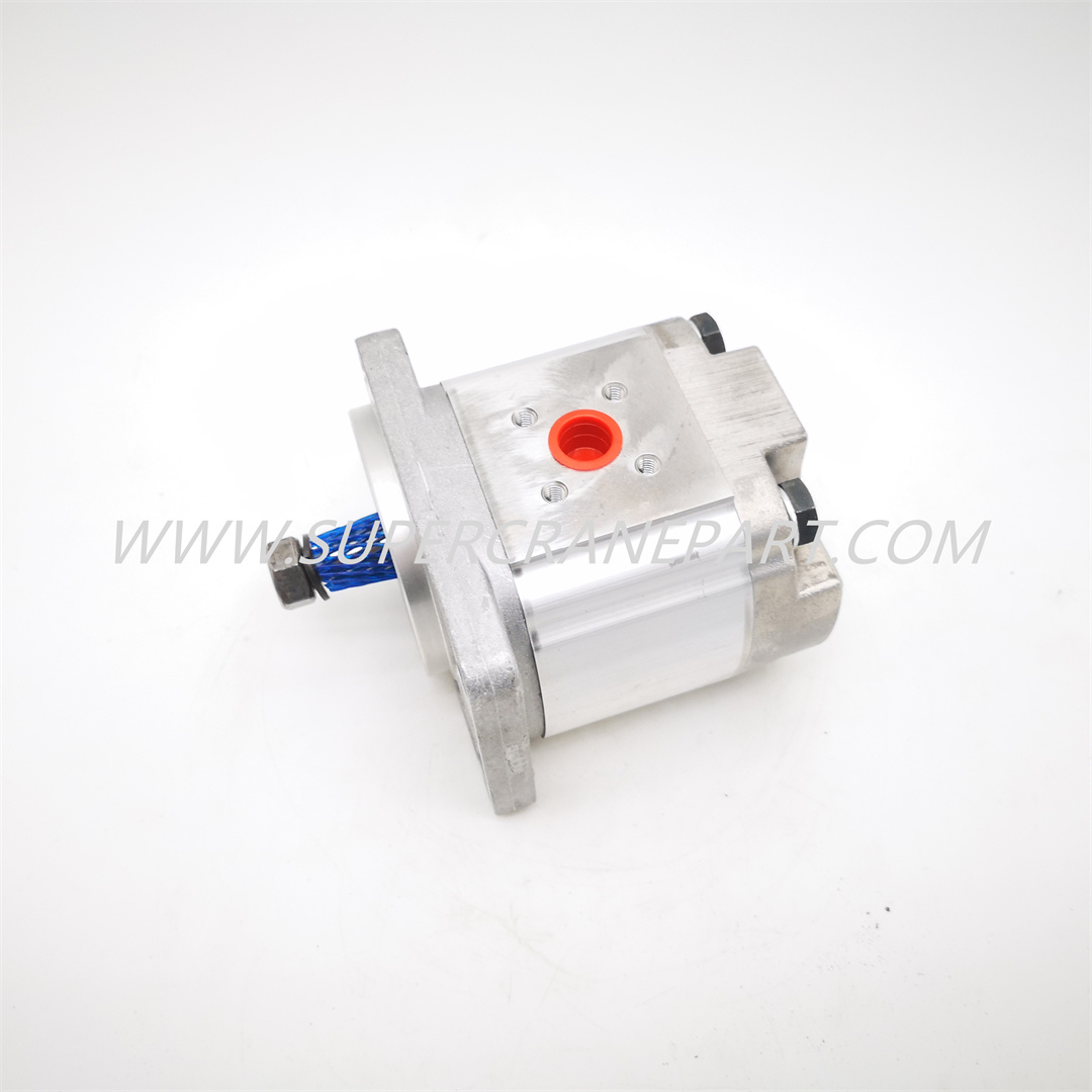 B220501000374 Gear Motor PGM511A0110BS1D4VJ5J5B1B1P6