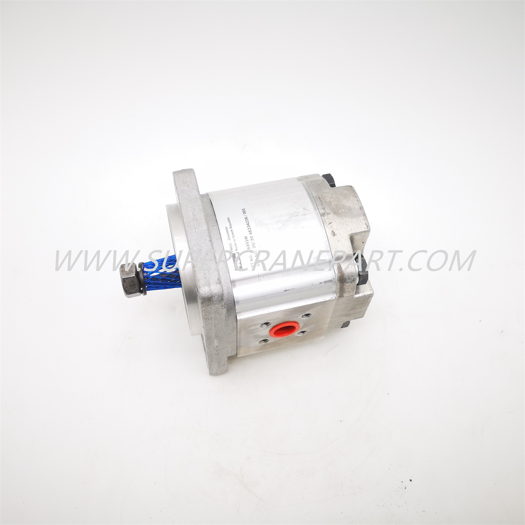 B220501000374 Gear Motor PGM511A0110BS1D4VJ5J5B1B1P6