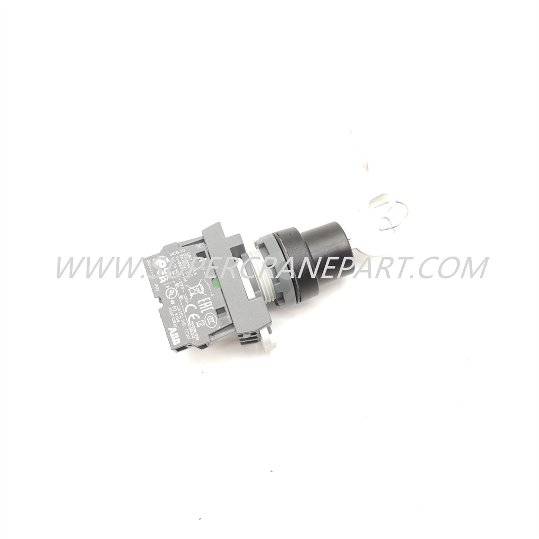 B241200000145 Ignition Switch 2S-22Y