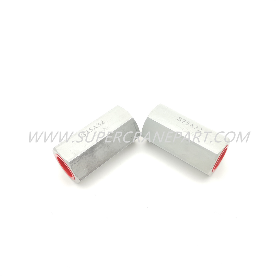 A22040100298 Check Valve S25A3.0