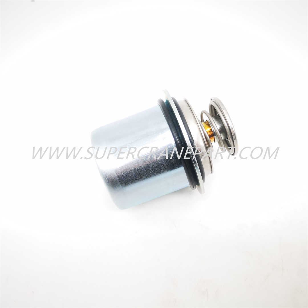 A220200000040 Thermostat C3968559