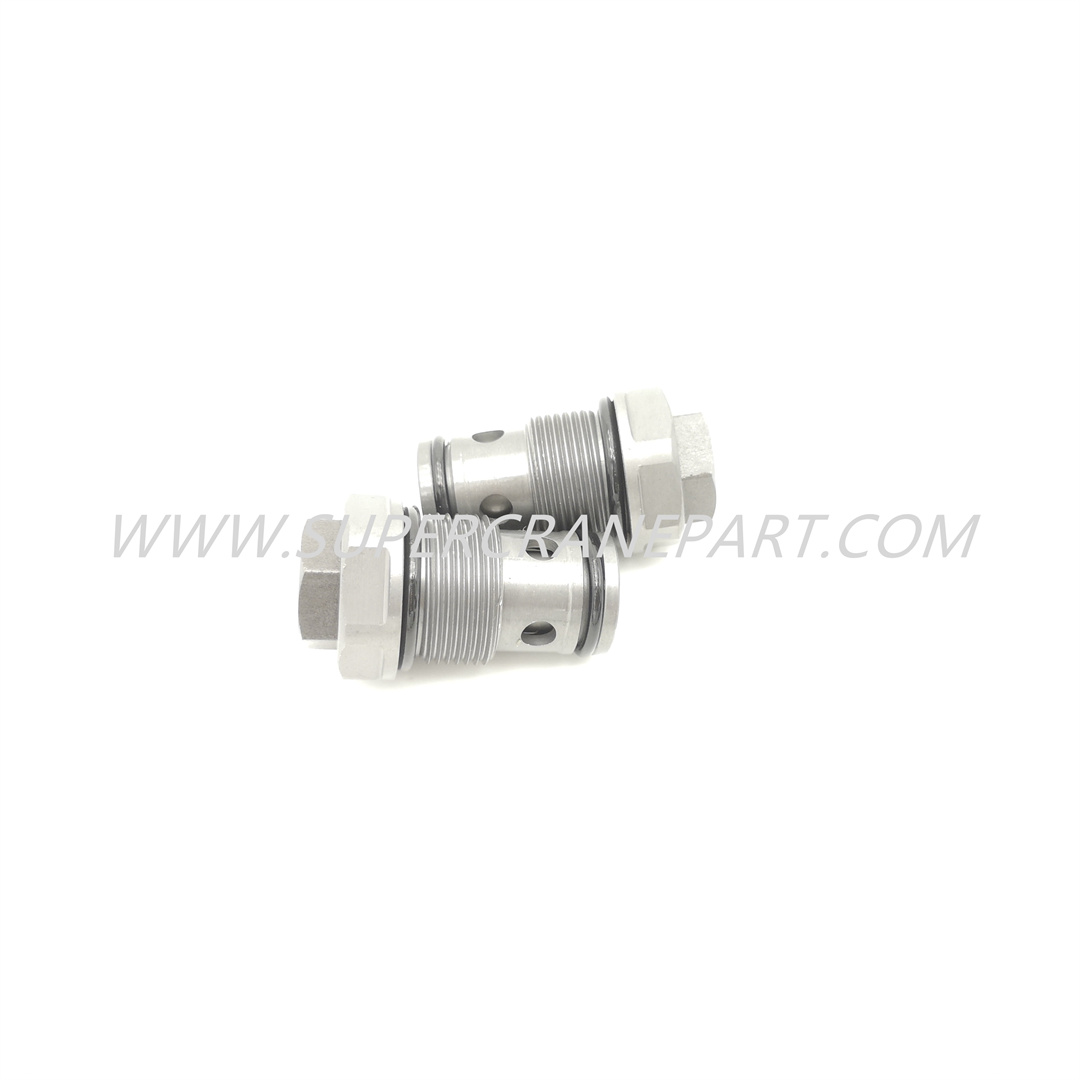 60209457 Check Valve DF10-01/0.N.05