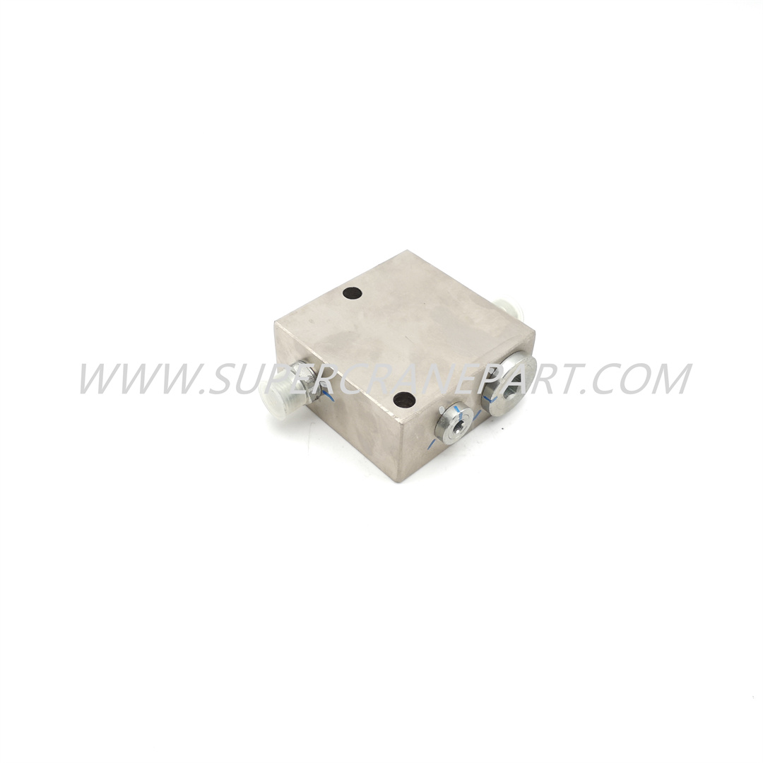 10138470 VALVE GP THROTTLE ONE-WAY QY25C.12.1.5