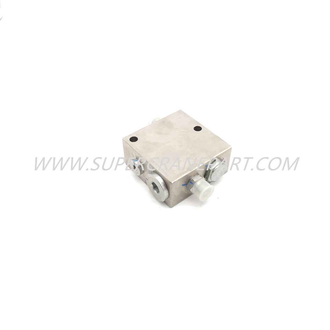 10138470 VALVE GP THROTTLE ONE-WAY QY25C.12.1.5