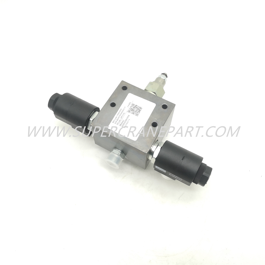 10901050 Valve Group, Lock Control, Suspension SRC550.6.7.6