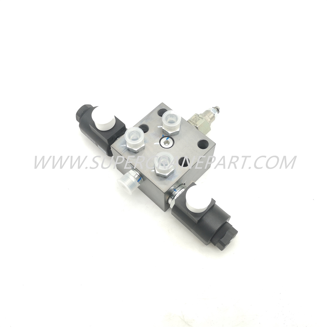 10901050 Valve Group, Lock Control, Suspension SRC550.6.7.6