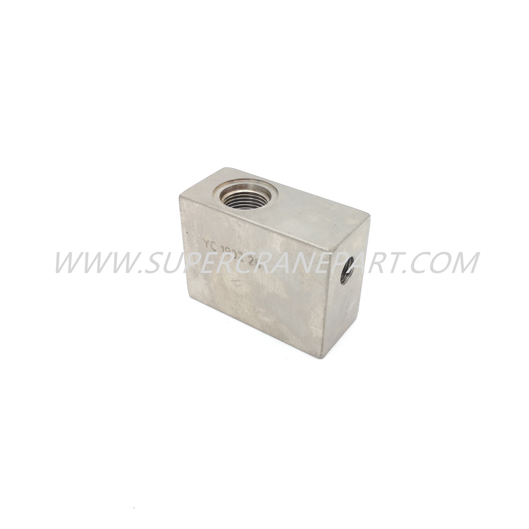 12229663 one-way relief valve block QY50CY2.4.1.8-1A