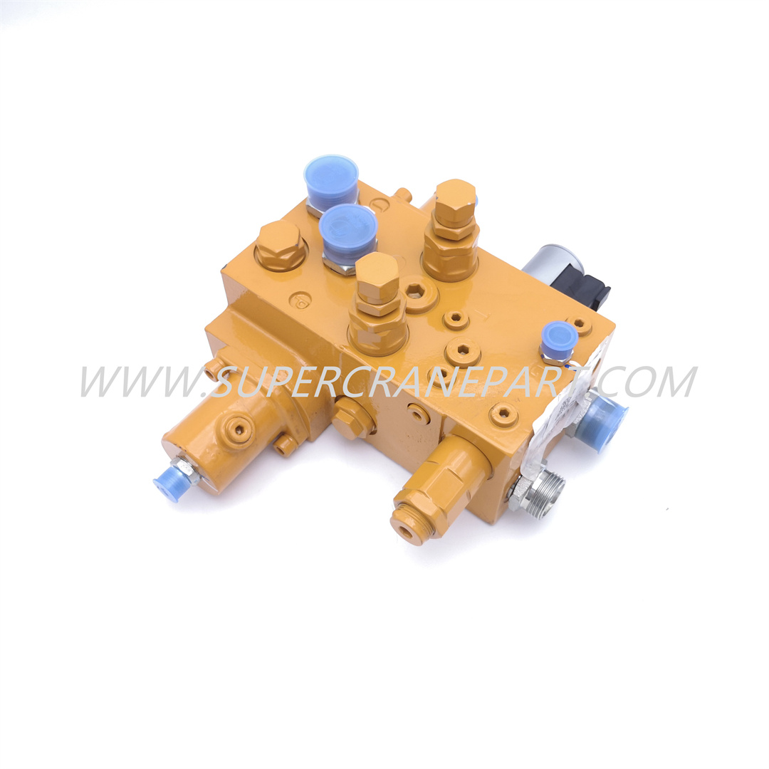 13140183 Valve Assembly, Swing Buffering STC500S-D2.4.5.1