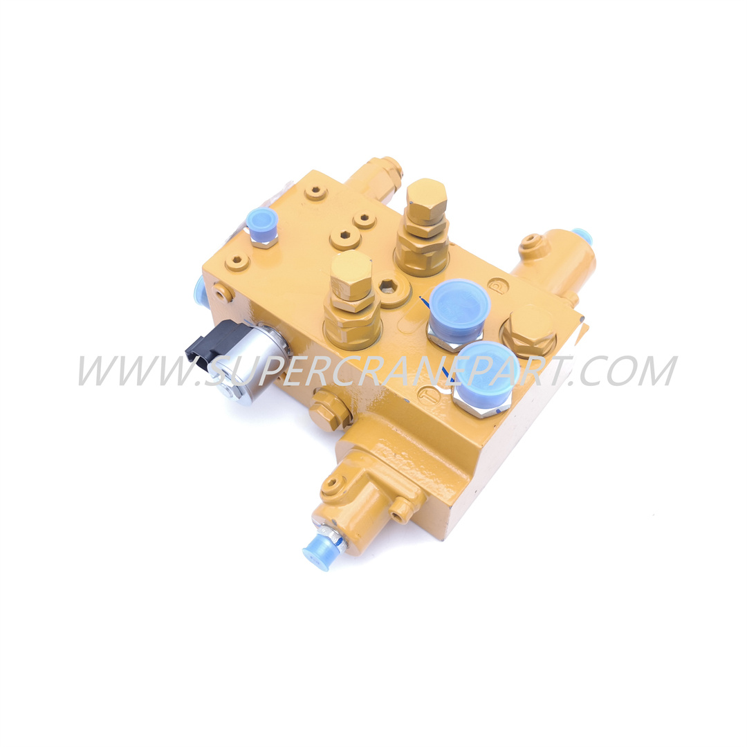 13140183 Valve Assembly, Swing Buffering STC500S-D2.4.5.1