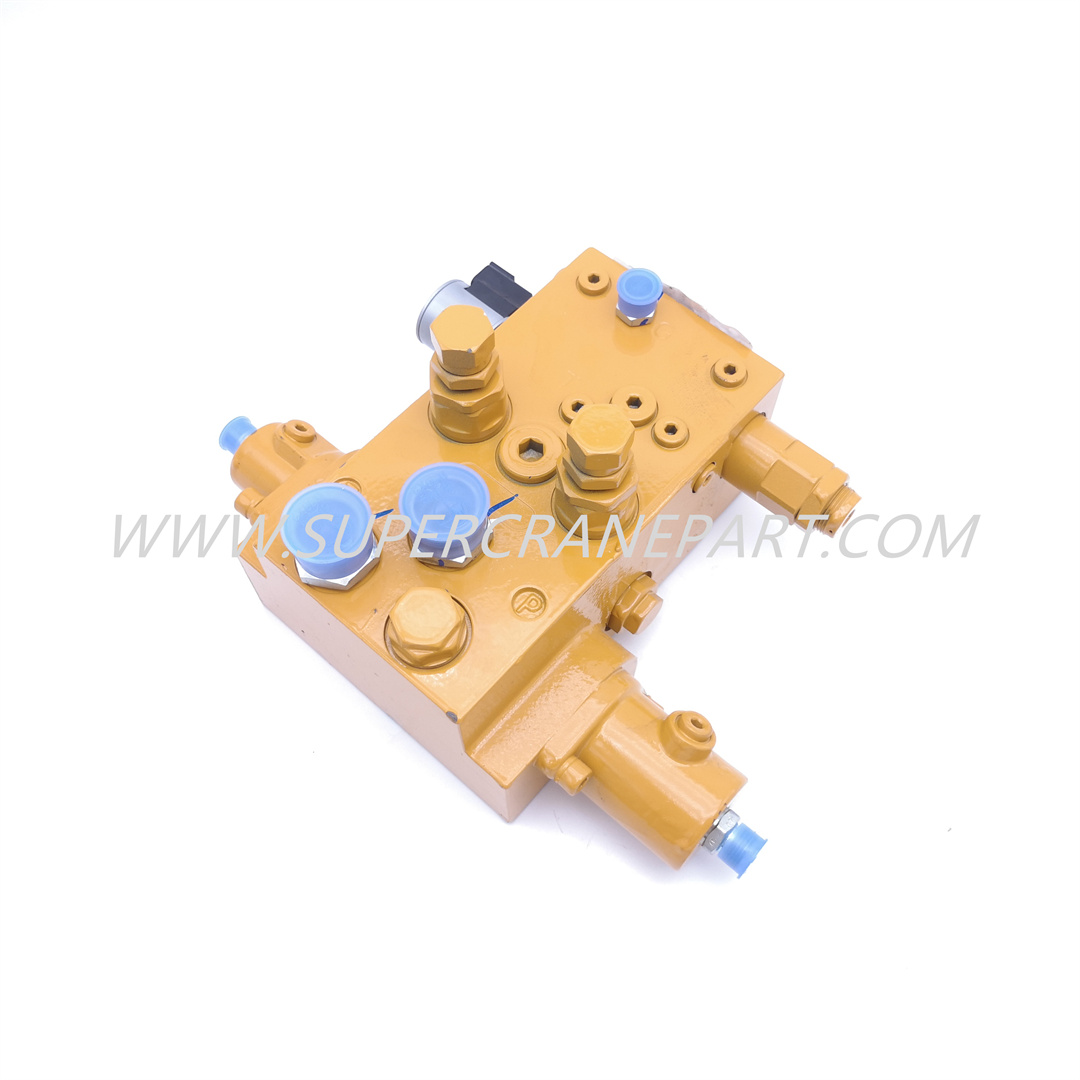 13140183 Valve Assembly, Swing Buffering STC500S-D2.4.5.1