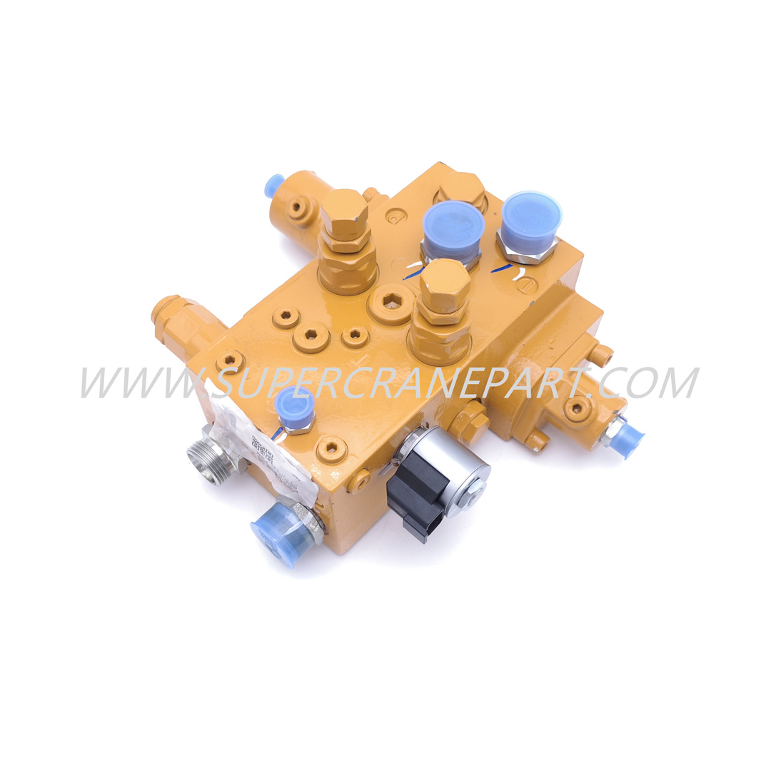 13140183 Valve Assembly, Swing Buffering STC500S-D2.4.5.1
