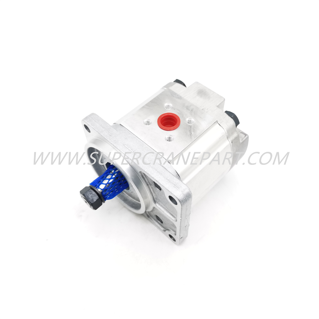 B220501000374 Gear Motor PGM511A0110BS1D4VJ5J5B1B1P6