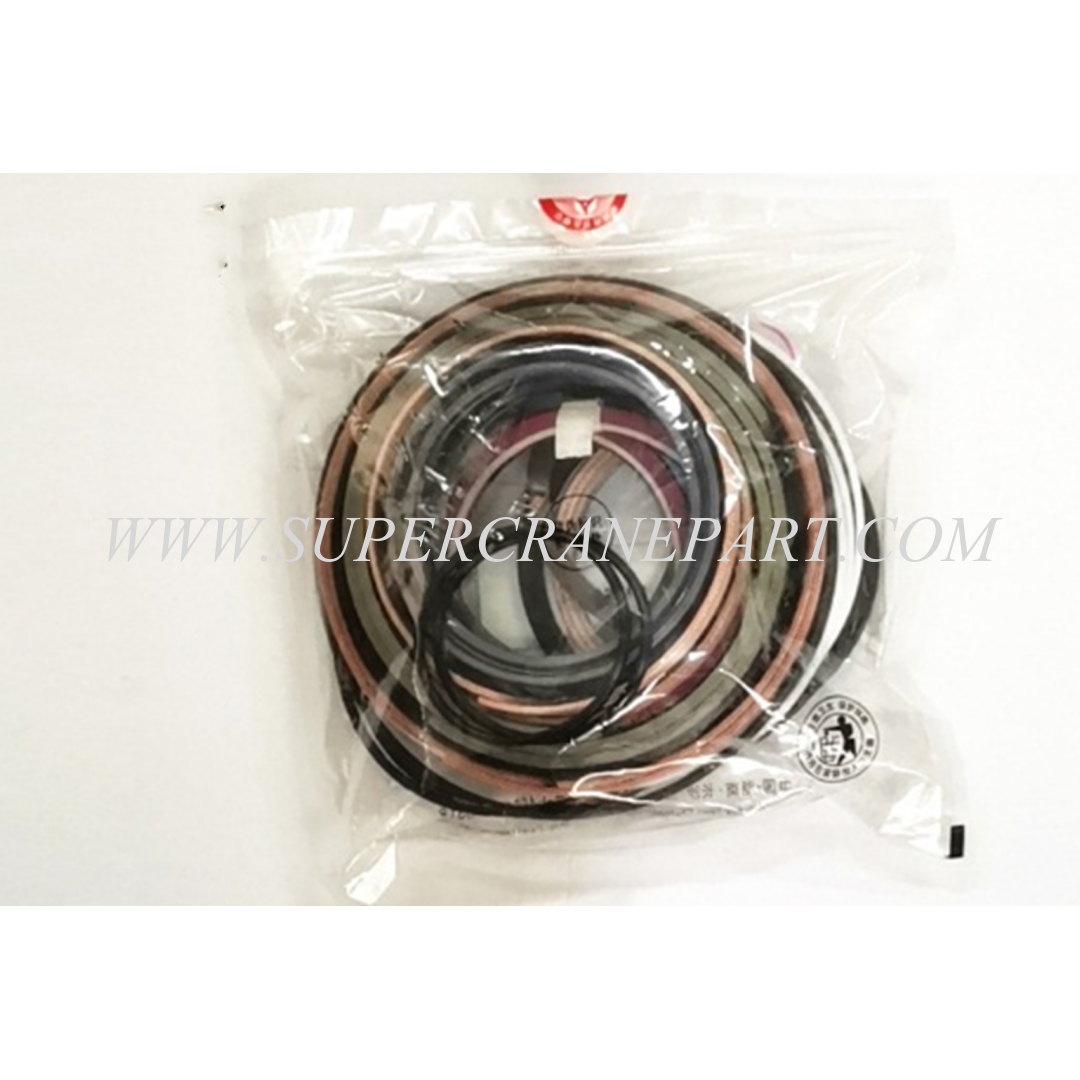 SANY Concrete Pump Sealing Package