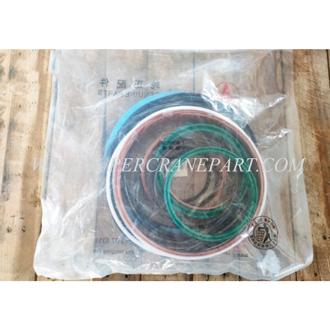 SANY Concrete Pump Sealing Package