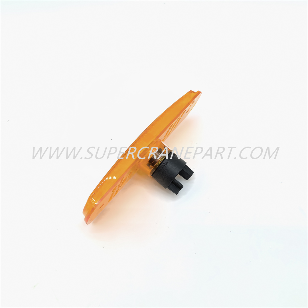 A241100000308 Side Light 2-24-P0-Y