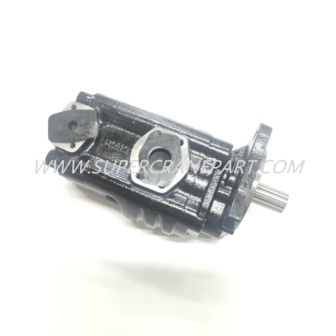 150107010038B Duplex Gear Pump Set JHP2080-Gj1016