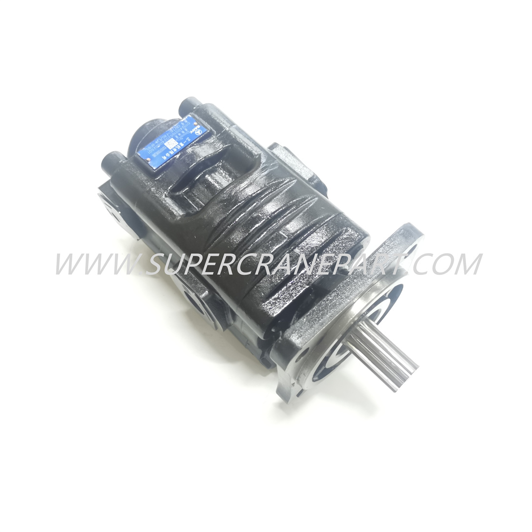 150107010038B Duplex Gear Pump Set JHP2080-Gj1016