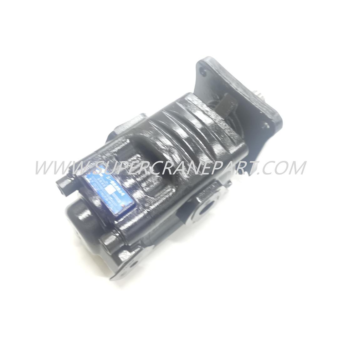 150107010038B Duplex Gear Pump Set JHP2080-Gj1016