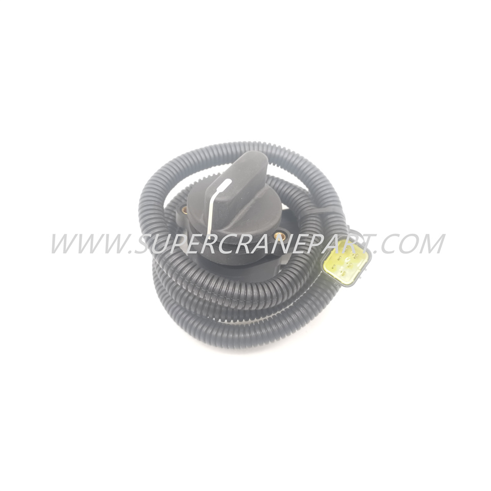 60018080 Electronic Throttle WM547