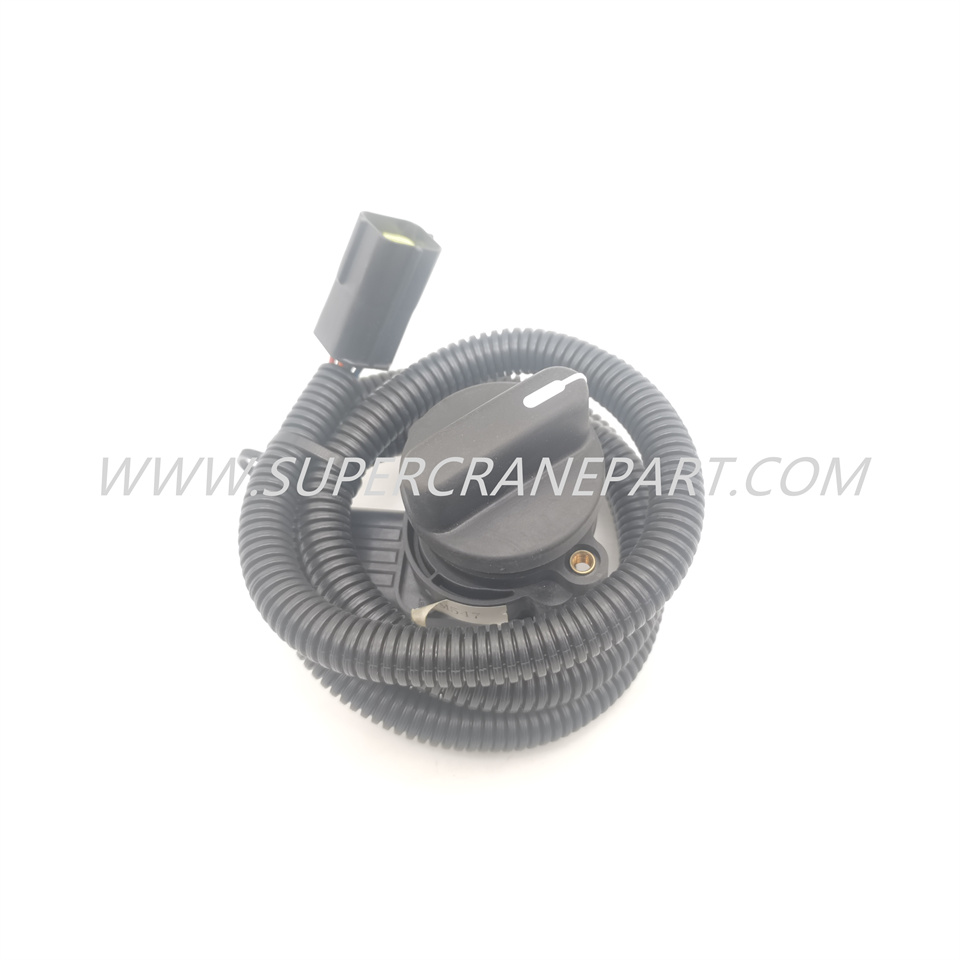 60018080 Electronic Throttle WM547