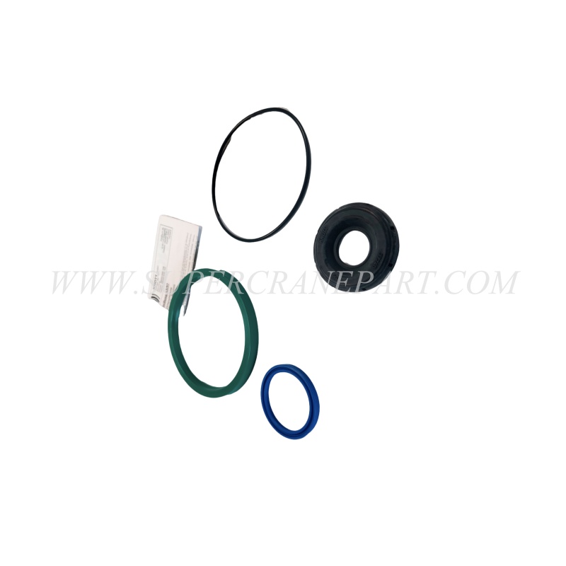 60099265 Oil Seal 34837.12
