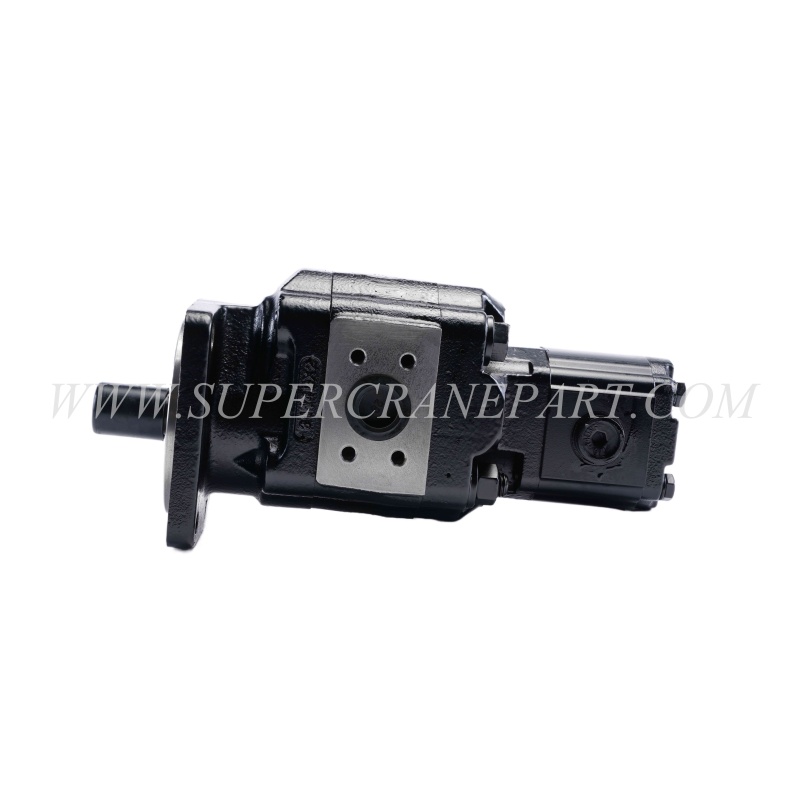 60286578 Duplex Gear Pump Set P51B578I1817-07-511AO160XB1D4B